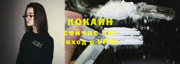 ГАЛЛЮЦИНОГЕННЫЕ ГРИБЫ Осинники