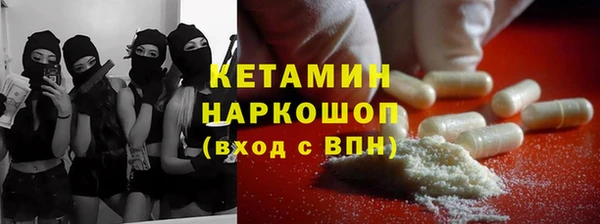 гашик Няндома