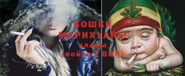 spice Канск