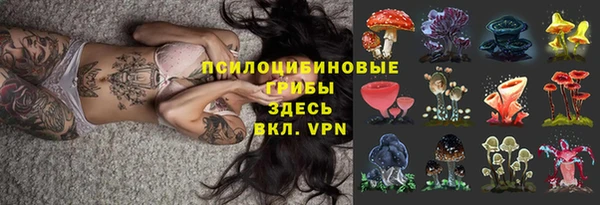 твердый Осташков