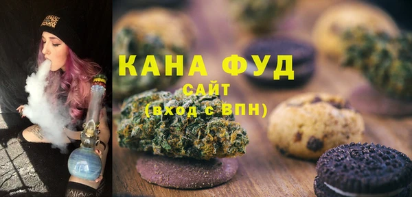 PSILOCYBIN Алагир