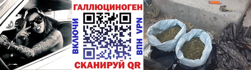 закладка  Комсомольск  Галлюциногенные грибы прущие грибы 